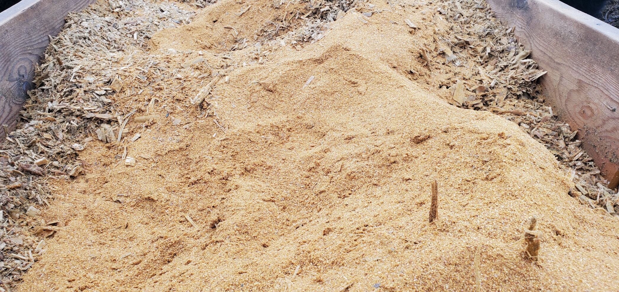 Grains Distillers/Corn Silage